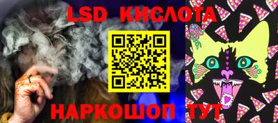 гашик Будённовск