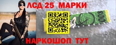 гашик Будённовск