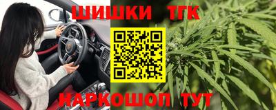гашик Будённовск
