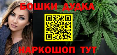 гашик Будённовск