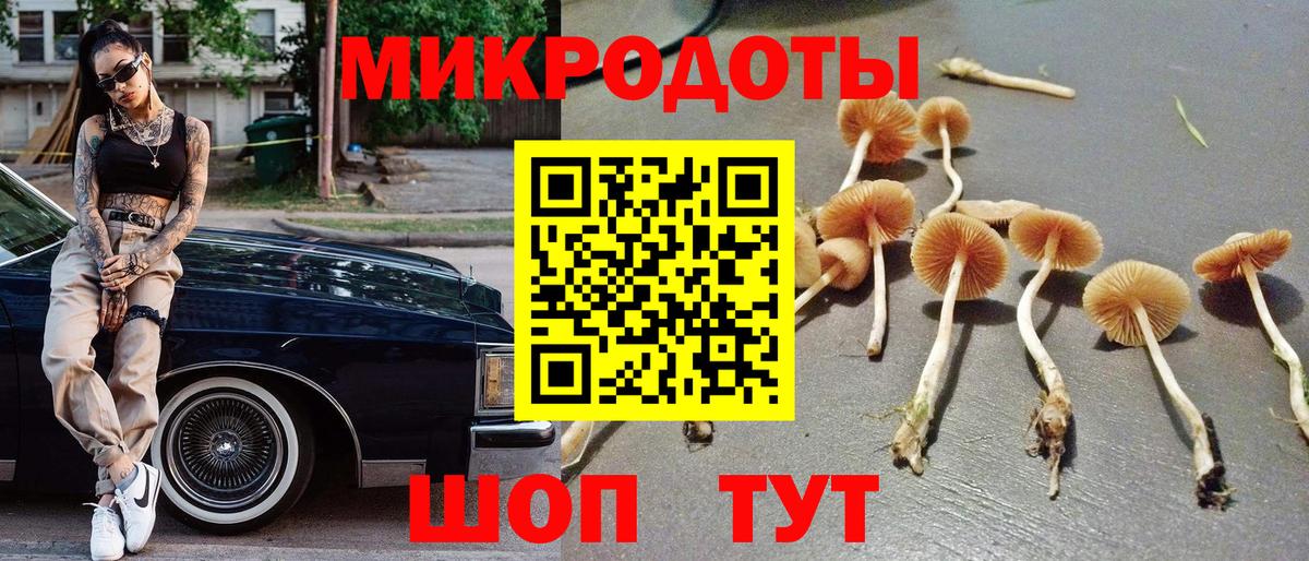 Приморско-Ахтарск  Псилоцибиновые грибы прущие грибы  Вход с VPN 