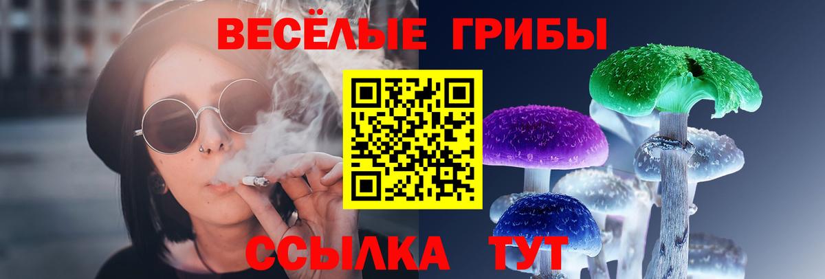 Галлюциногенные грибы Psilocybe Приморско-Ахтарск